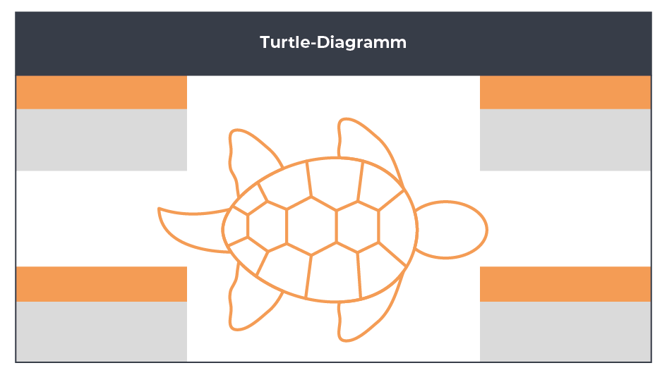 Turtle Diagramm - 1