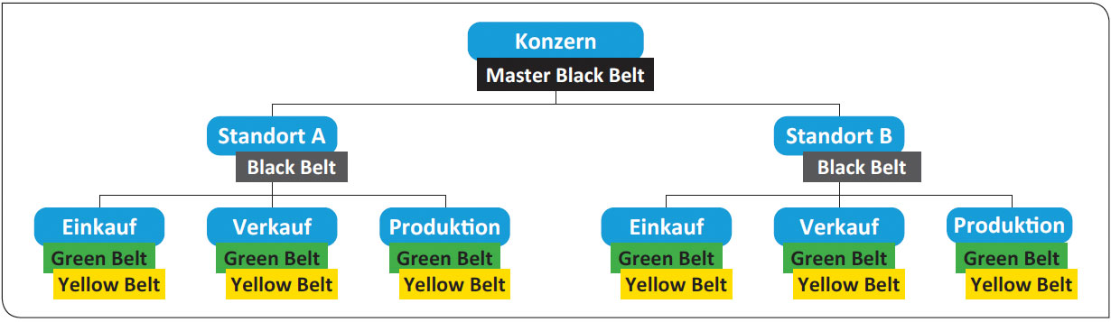 Lean Six Sigma Black Belt