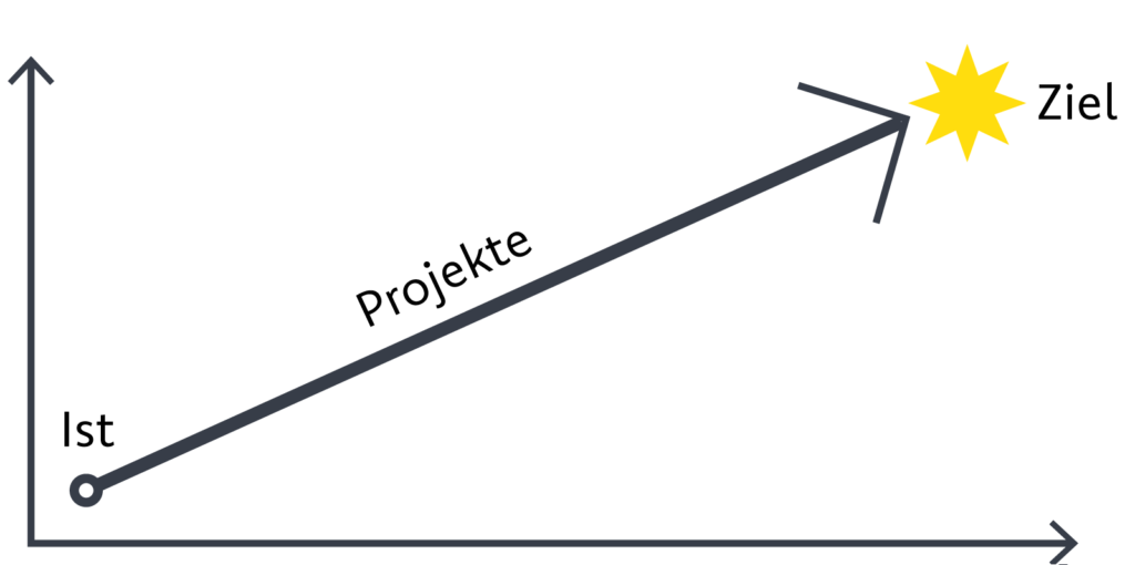 zweck_von_projekten_diagramm_ist-ziel